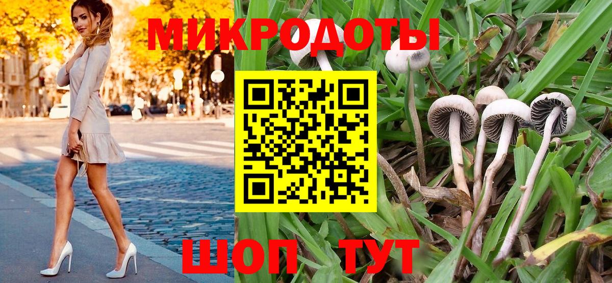 Галлюциногенные грибы Psilocybe  Вход с VPN  Ейск 