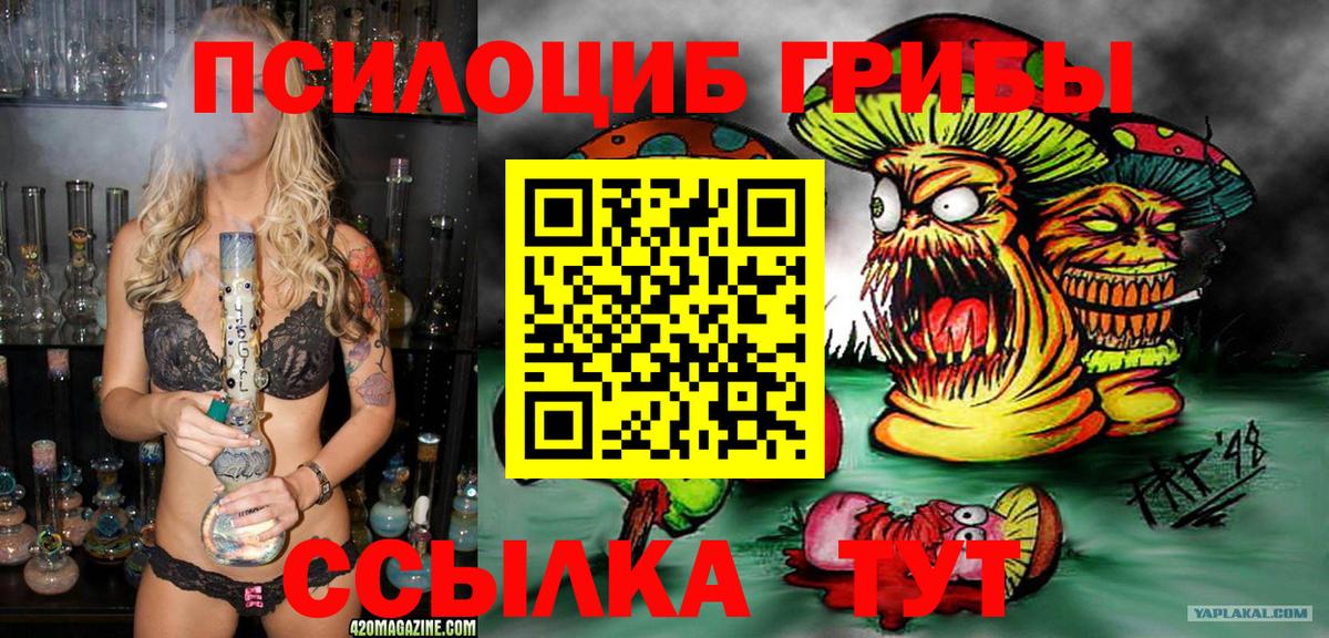Псилоцибиновые грибы ЛСД Ейск